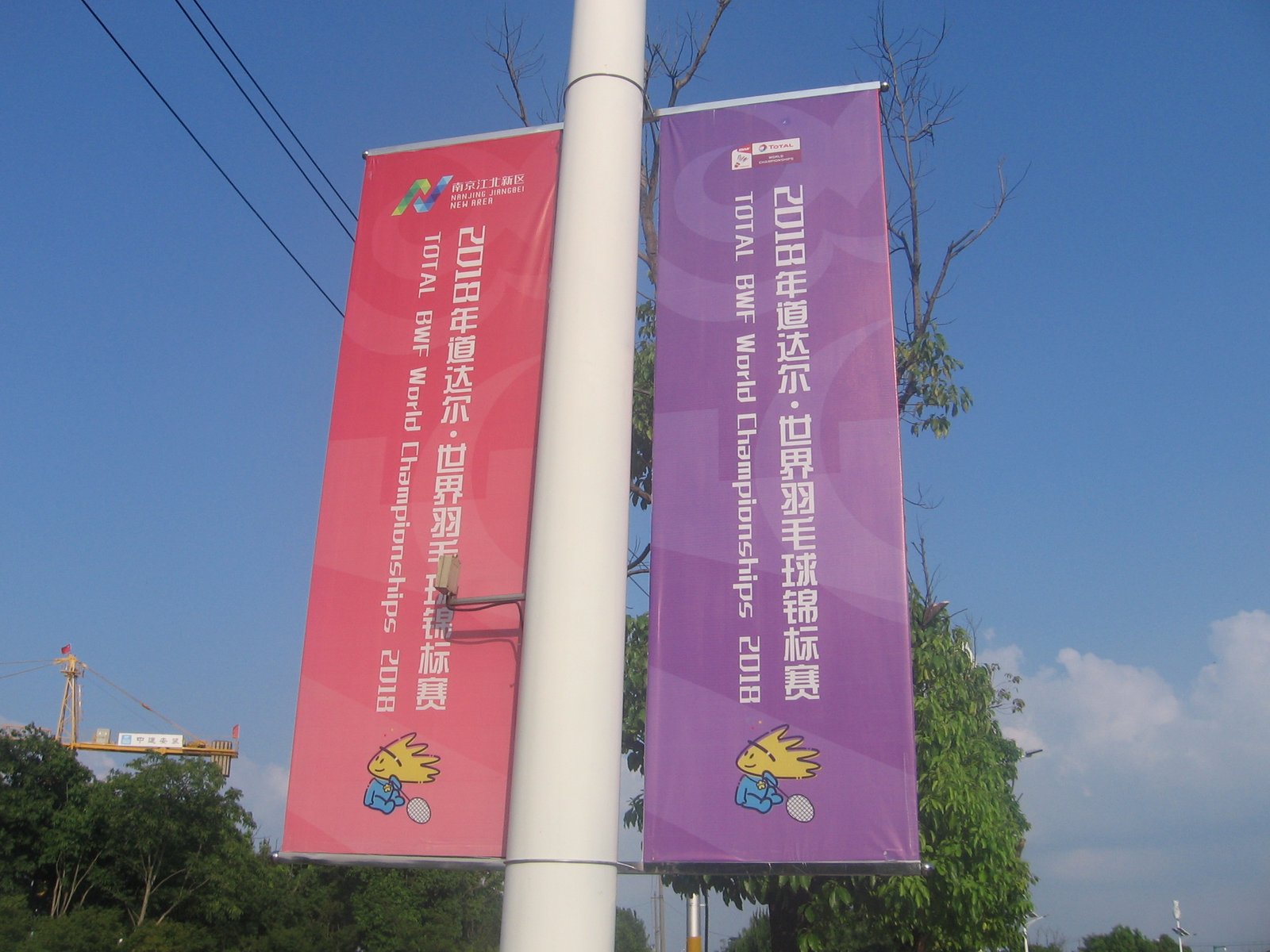 Badminton World Federation (BWF) World Championship court and stadium